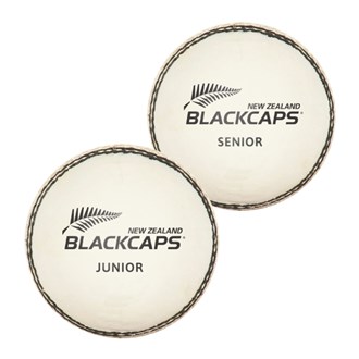 NZC Leather Cricket Ball - White