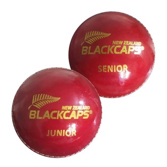 NZC Leather Cricket Ball - Red