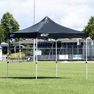 Marquee Silver Fern
